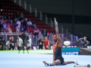 faverus elijah ned sfe02778 copia simone ferraro ph